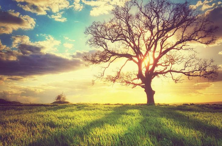 Il cambiamento del clima ed il ruolo delle nuvole alt_tag