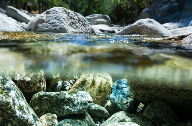 Un Nuovo Guardiano dell’Acqua: Nestlè Waters– In a Bottle