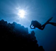 Creato un “polmone artificiale” per respirare a lungo sott’acqua - In a Bottle