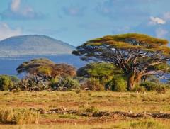 Kenya: scoperte fonti sotterranee, 66 miliardi di litri di acqua