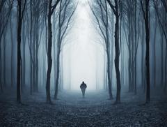Acqua e nebbia, un rapporto avvolto nel mistero