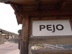 Pejo, quando il legno si trasforma in energia pulita