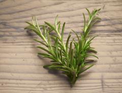 I benefici dell'infuso al rosmarino
