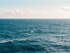 Cause e conseguenze dell’inquinamento marino: non è solo plastica 