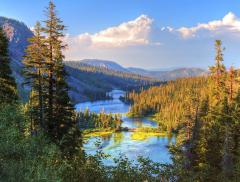 Le parole più usate nel 2022 legate a clima ed ambiente
