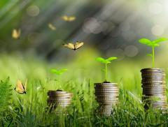 La Green economy accelera in Italia con 531mila imprese
