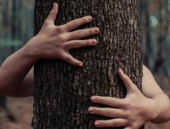 National Love a Tree Day: un abbraccio verde per il futuro del pianeta
