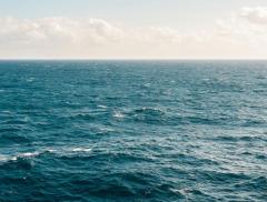 La Giornata Mondiale degli Oceani 2025 per tutelare gli ambienti marini