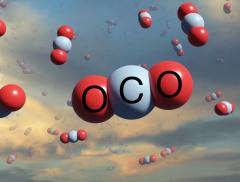 I dati sulle emissioni di CO2 nel mondo, in Italia e in Europa