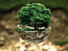 Cos’è la transizione ecologica e perché è importante