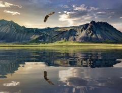 “Acqua alpina”, la poesia che celebra la vitalità della montagna