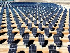 I principali trend legati alla sostenibilità nel 2022