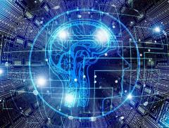 L’importanza per un’azienda di sistemi informatici sostenibili