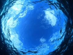 Sarà possibile abitare i pianeti ricoperti d’acqua? - In a Bottle 
