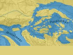 Paratetide, il megalago che conteneva 10 volte tutti i laghi terrestri