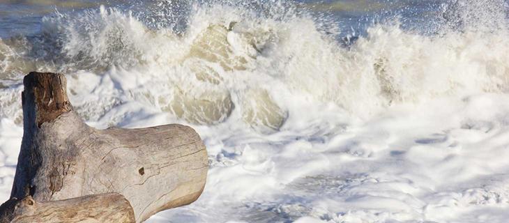 Leopardi e il mare, un amore in versi – In a Bottle