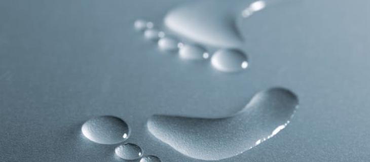 Nestlé e WWF spiegano come ridurre l'impronta idrica