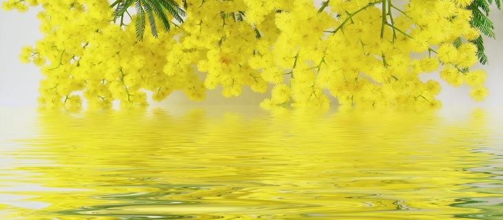 8 marzo, ecco perché l'acqua è donna | In a Bottle