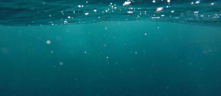 Agenti patogeni ad RNA catturano la CO2 negli oceani