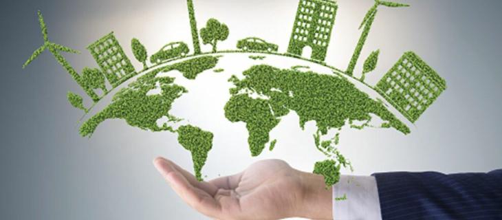 Come si diventa sustainability manager 