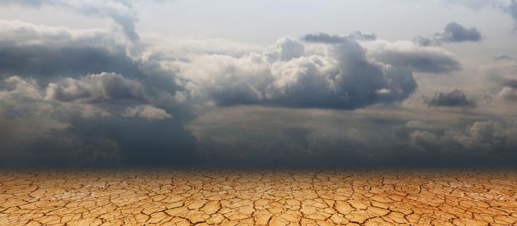 Cambiamento climatico e ondate di calore, come difendersi al meglio