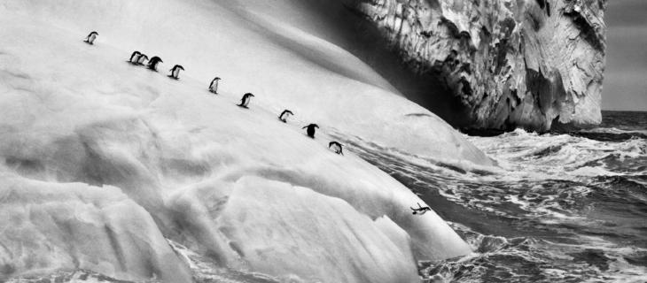 “Ghiacciai”, la mostra fotografica di Sebastião Salgado 