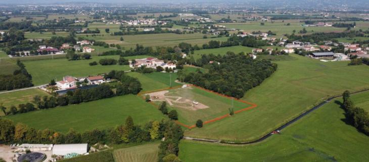 La Giornata Mondiale degli Alberi, un giorno per celebrare i polmoni verdi del pianeta