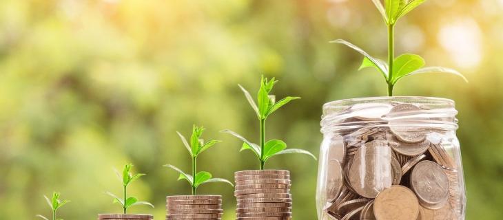 Cos’è la Piattaforma per la finanza sostenibile