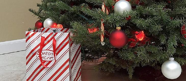 Come annaffiare l’albero di Natale, il sistema “travestito” da regalo