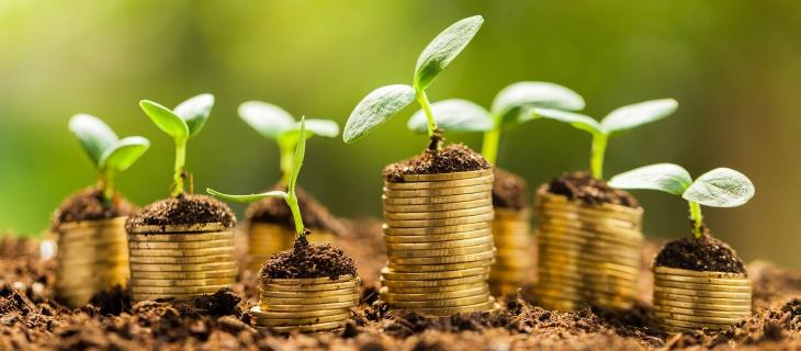 Aumenta il consumo di suolo in Europa 