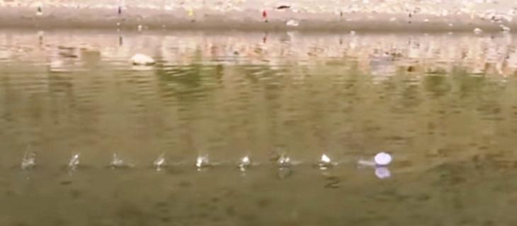 Camminare sull’acqua? Secondo la scienza si può - In a Bottle