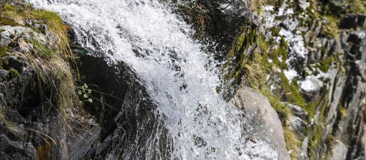 Fonti d'acqua: cosa fare per proteggerle 