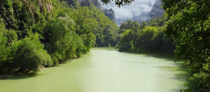 In Brasile l’umidità dell’aria amazzonica viene trasformata in bottiglie d’acqua - In a Bottle