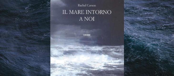 “Il mare intorno a noi”, la biografia del mare della scrittrice ambientalista Rachel Carson - In a Bottle