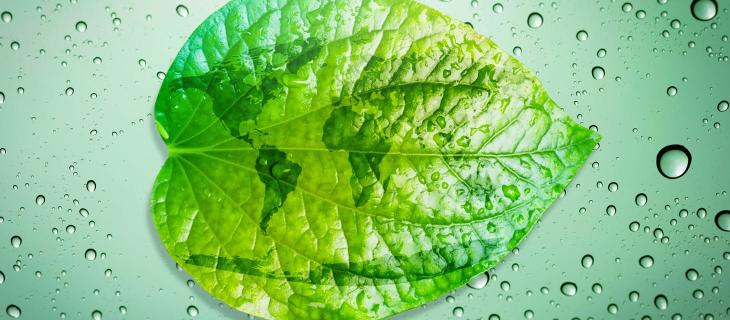 VirtualWaterValues: il progetto contro lo spreco d'acqua 